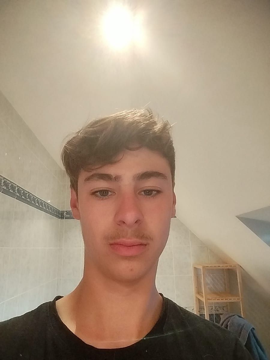 Profil von Demir