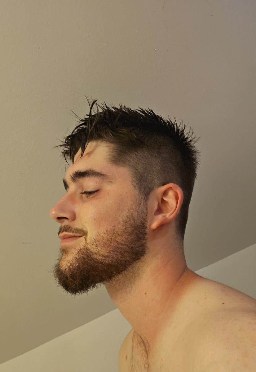 Profil von Chaabane